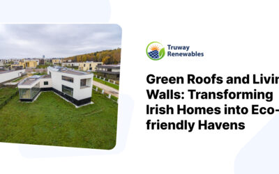 Green Roofs and Living Walls: Transforming Irish Homes into Eco-friendly Havens