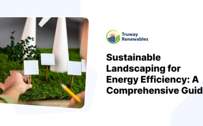 Sustainable Landscaping for Energy Efficiency: A Comprehensive Guide
